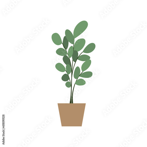 Home plant tree in a pot. Vector flat illustration on isolated background