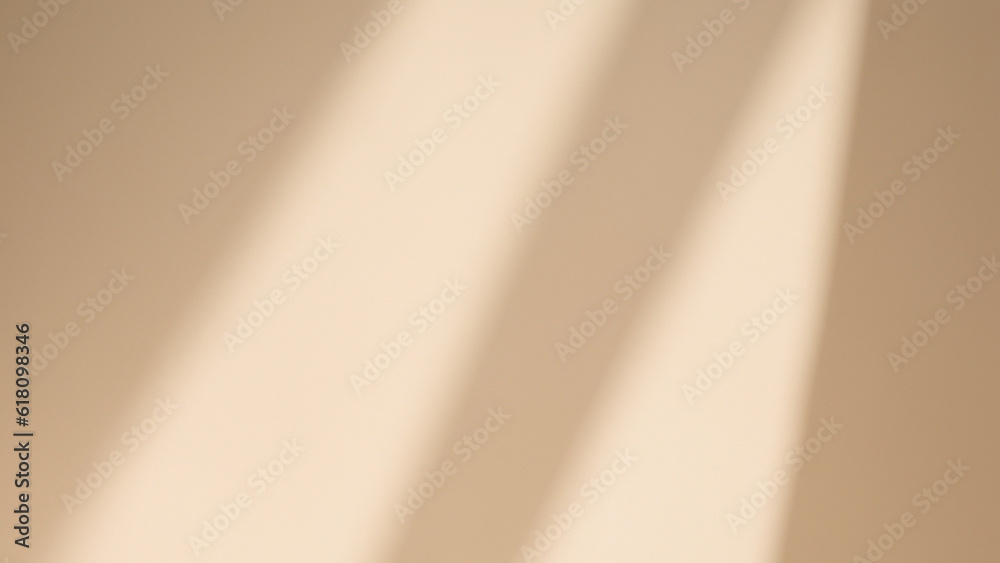 Minimalistic abstract gentle light background for product presentation with light and intricate shadow from tree branches on wall Minimalistic abstract gentle light background for product presentation with light and intricate shadow from tree branches on wall