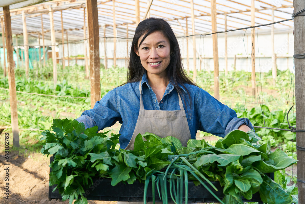 Smiling female farmer holding fresh vegetables in crate Smiling female farmer holding fresh vegetables in crate