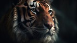  a close up of a tiger's face with a dark background.  generative ai