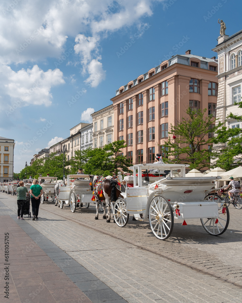 Naklejka premium A long line of white horse-drawn carriages waiting for tourists on the gray cobbled street of the old town on a sunny day among the citizens and tourists of Krakow. Horse transport in European cities