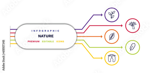set of nature thin line icons. nature outline icons with infographic template. linear icons such as perfoliate, lemon leaf, four toe footprint, coconut tree standing, pedunculate vector.