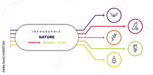 set of nature thin line icons. nature outline icons with infographic template. linear icons such as cuspicate, larch leaf, spruce, yucca, roses vector.