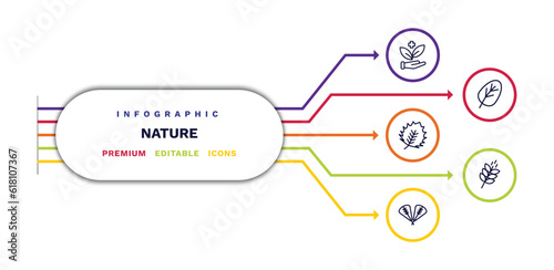 set of nature thin line icons. nature outline icons with infographic template. linear icons such as treatments, birch leaf, plum leaf, orbicular, grains vector.