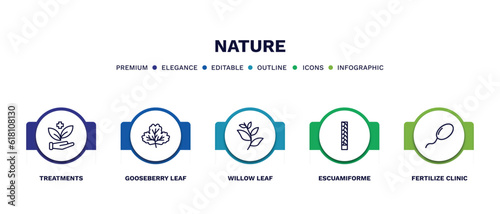 set of nature thin line icons. nature outline icons with infographic template. linear icons such as treatments, gooseberry leaf, willow leaf, escuamiforme, fertilize clinic vector.