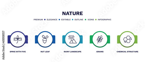 set of nature thin line icons. nature outline icons with infographic template. linear icons such as sprig with five leaves, nut leaf, rainy landscape, grains, chemical structure vector.