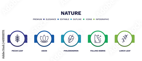 set of nature thin line icons. nature outline icons with infographic template. linear icons such as pecan leaf, asian, philodendron, falling debris, larch leaf vector.