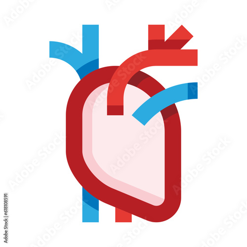 Heart organ