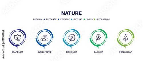 set of nature thin line icons. nature outline icons with infographic template. linear icons such as grape leaf, sunny protic, birch leaf, oak leaf, poplar vector.