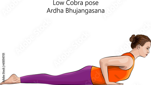 Young woman practicing yoga exercise, doing Low Cobra pose or Baby Cobra pose. Ardha Bhujangasana. Prone and Backbend. Beginner. Isolated vector illustration.