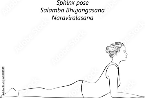 Sketch of young woman practicing yoga, doing Sphinx pose. Salamba Bhujangasana. Naraviralasana. Backbend. Prone and Backbend. Beginner. Isolated vector illustration.
