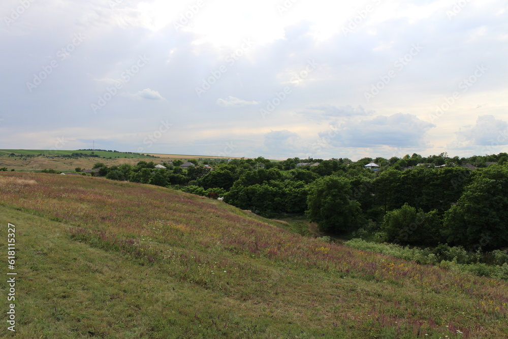 A grassy field with trees