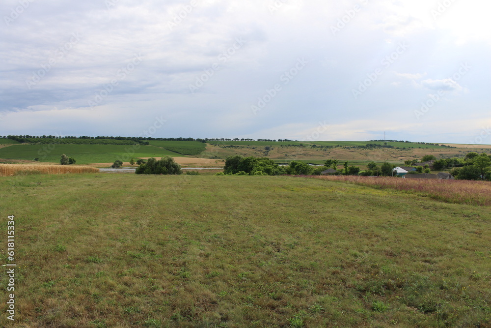 A grassy field with trees in the background A grassy field with trees in the background