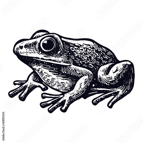 frog vintage sketch