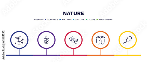 set of nature thin line icons. nature outline icons with infographic template. linear icons such as farming, acacia, cercis leaf, four toe footprint, fertilize clinic vector.
