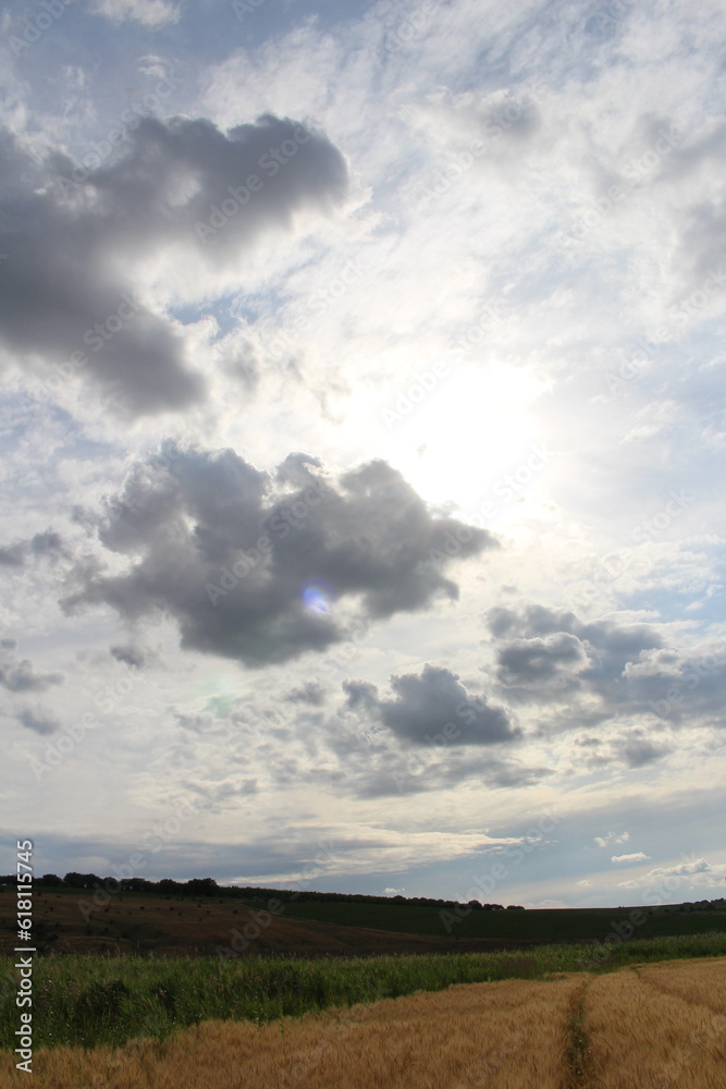 A group of trees with clouds in the sky A group of trees with clouds in the sky