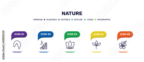 set of nature thin line icons. nature outline icons with infographic template. linear icons such as hair style, mountain pse, asian, straberry leaf, hibiscus vector.