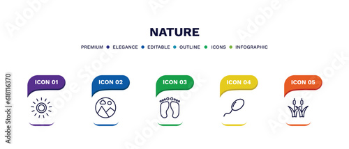set of nature thin line icons. nature outline icons with infographic template. linear icons such as sol, landscape inside frame, four toe footprint, fertilize clinic, reed bed vector.