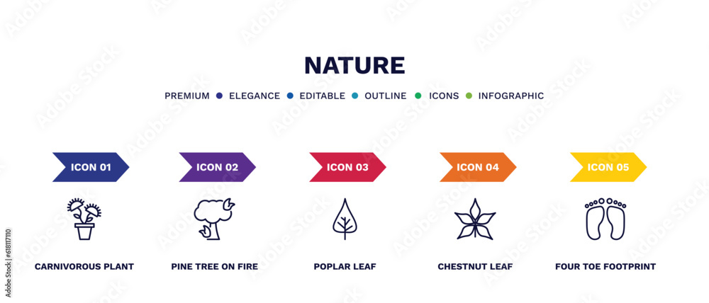 set of nature thin line icons. nature outline icons with infographic template. linear icons such as carnivorous plant, pine tree on fire, poplar leaf, chestnut leaf, four toe footprint vector. set of nature thin line icons. nature outline icons with infographic template. linear icons such as carnivorous plant, pine tree on fire, poplar leaf, chestnut leaf, four toe footprint vector.