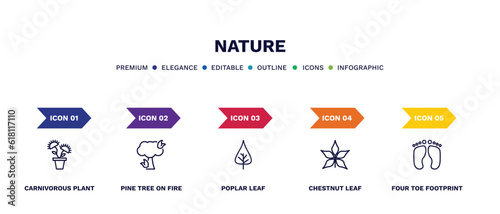 set of nature thin line icons. nature outline icons with infographic template. linear icons such as carnivorous plant, pine tree on fire, poplar leaf, chestnut leaf, four toe footprint vector.