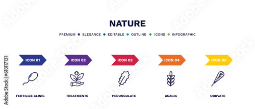 set of nature thin line icons. nature outline icons with infographic template. linear icons such as fertilize clinic, treatments, pedunculate, acacia, obovate vector.