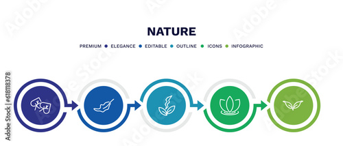 set of nature thin line icons. nature outline icons with infographic template. linear icons such as cercis leaf, dry leaf, natural energy, asian, cuspicate vector.