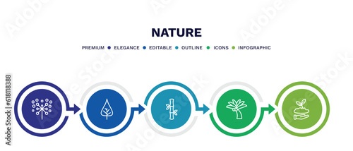 set of nature thin line icons. nature outline icons with infographic template. linear icons such as pollen, poplar leaf, bamboo sticks, coconut tree standing, seeding vector.