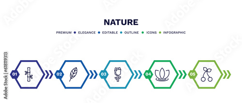 set of nature thin line icons. nature outline icons with infographic template. linear icons such as bamboo sticks, lanceolate, roses, asian, cherry leaf vector. photo