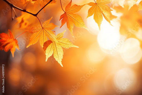 Autumnal of leaves maple in nature with an empty backdrop  Orange background  Environment concept. Illustration  Generative AI.