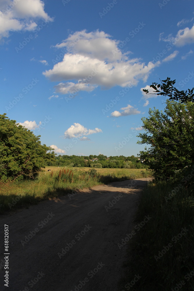 Fototapeta premium A road with grass and trees on both sides