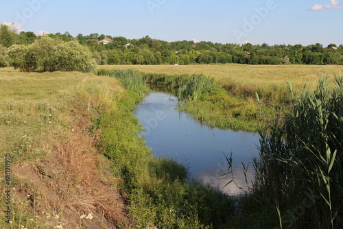 A river with a grass field and trees in the background