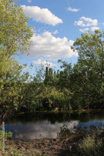 A body of water with trees around it