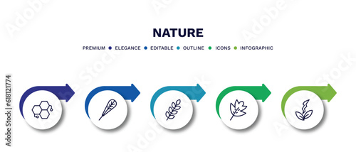 set of nature thin line icons. nature outline icons with infographic template. linear icons such as chemical structure, obovate, briar leaf, hawthorn leaf, natural energy vector.