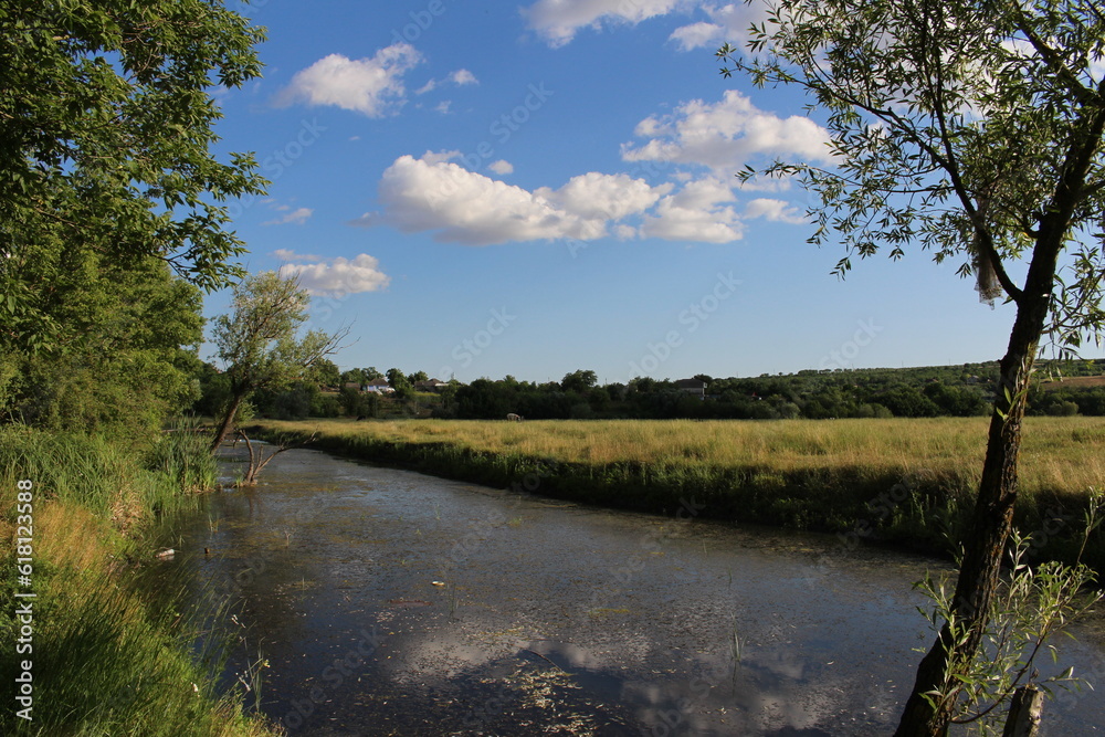 Obraz premium A river with trees and grass