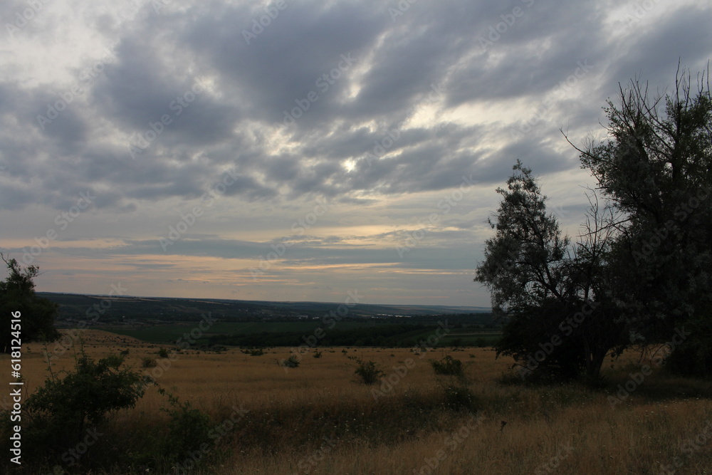 Fototapeta premium A landscape with trees and a cloudy sky