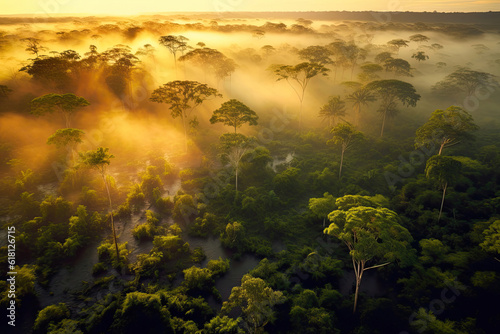 Majestic Aerial View: Enchanting Amazon Forest Bathed in Sunset Glow. Generative AI