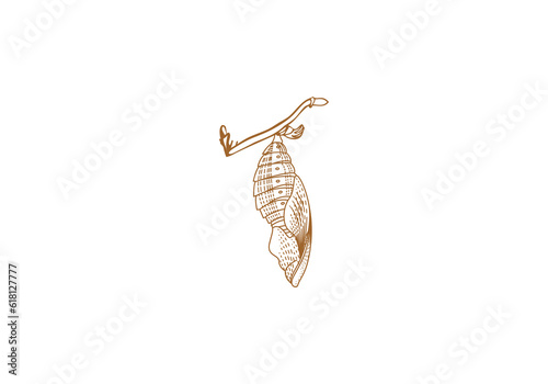 Logo detailed line chrysalis and branch. Old vintage style logo. editable color. 