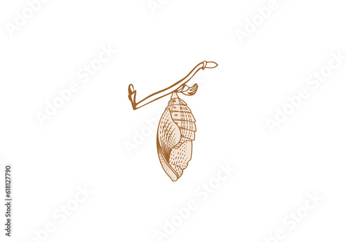 Logo detailed line chrysalis and branch. Old vintage style logo. editable color.  photo