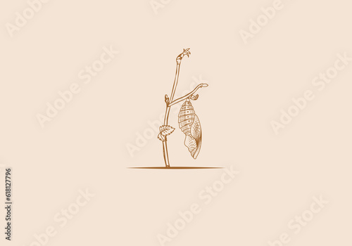 Logo detailed line chrysalis and branch. Old vintage style logo. editable color.  photo