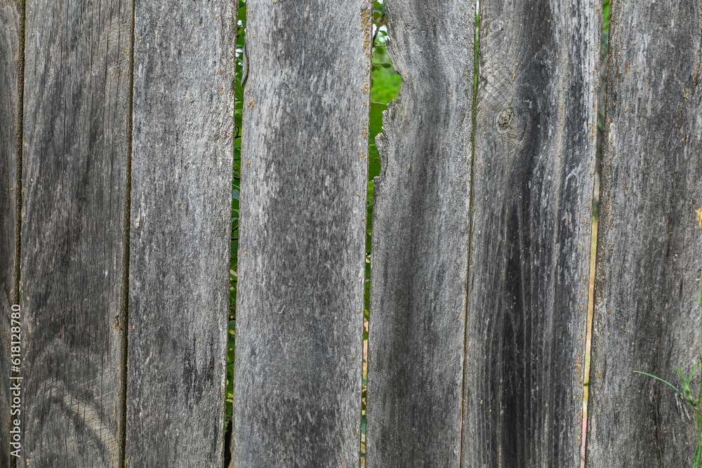 Obraz premium Old Wooden grey village fence summer day background copy space