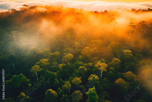 Mystical Morning Haze: Capturing the Essence of the Amazon Forest. Generative AI