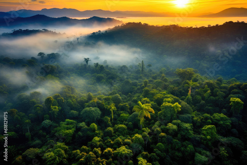 Exploring the Amazon's Vast Canopy at Sunset. Generative AI © AIproduction