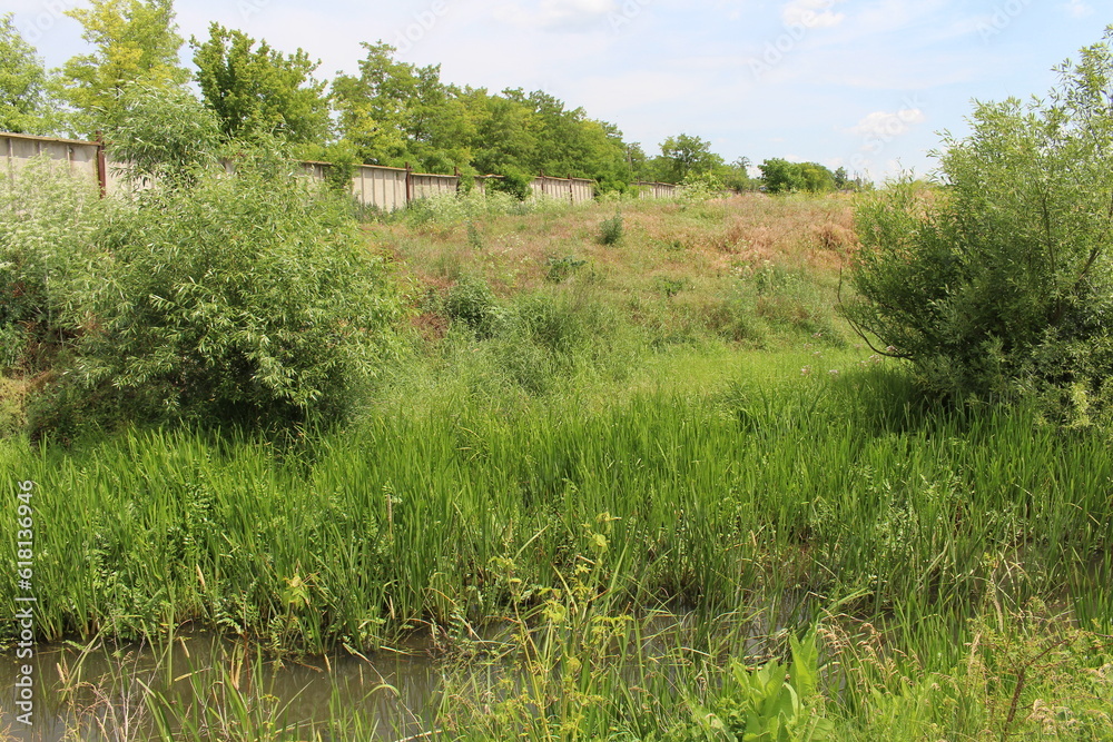 A grassy area with trees and a fence in the background A grassy area with trees and a fence in the background