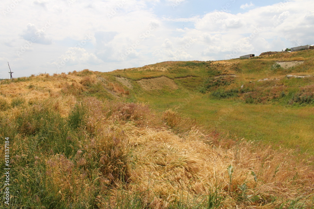 A grassy area with a hill in the background