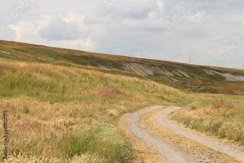 A dirt road through a grassy field