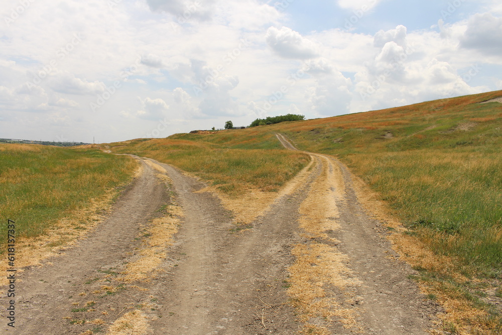 A dirt road in a field