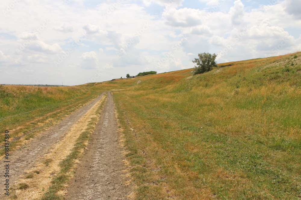 A dirt road in a grassy field