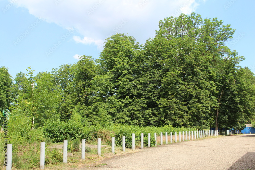 A fenced in area with trees in the background