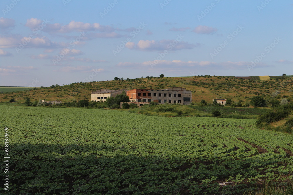 Fototapeta premium A house on a hill