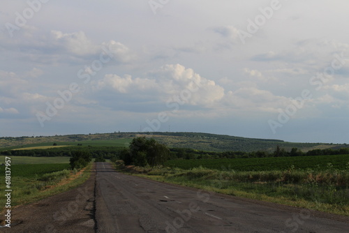A road with grass and trees on the side
